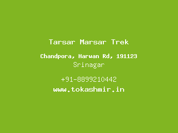 Tarsar Marsar Trek, Srinagar