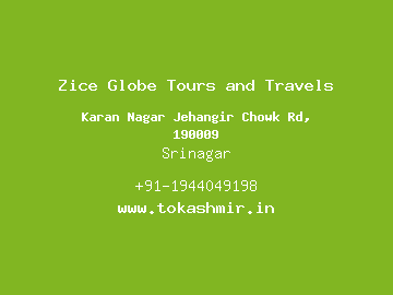 Zice Globe Tours and Travels, Srinagar